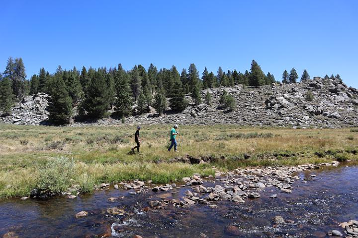 IMG 0498