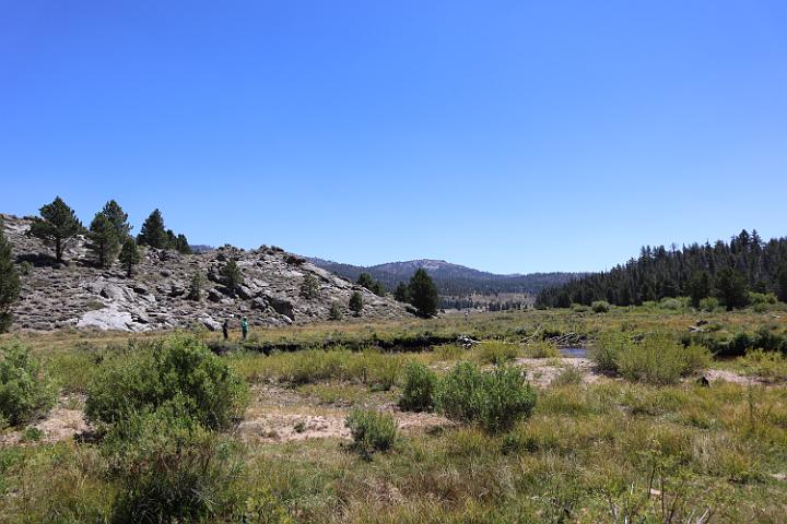 IMG 0500