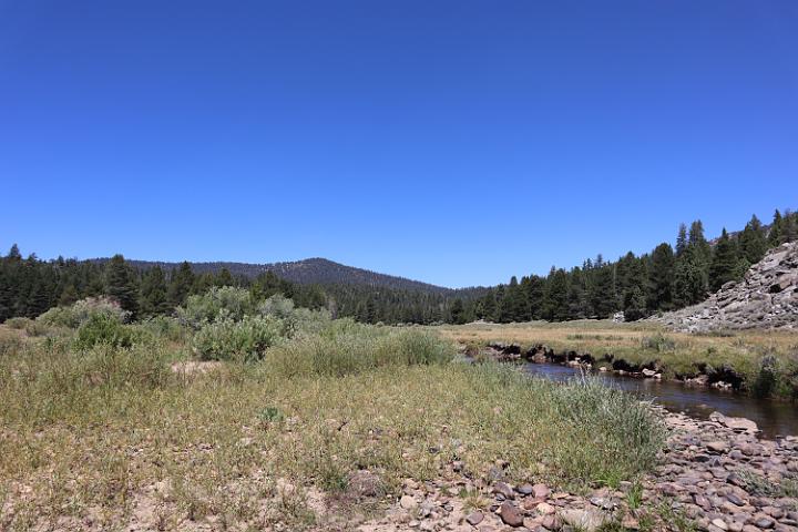 IMG 0507