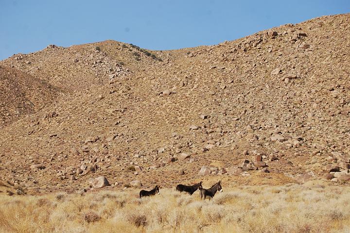 DSC 1178
