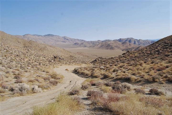 DSC 1226