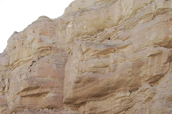 DSC 1662