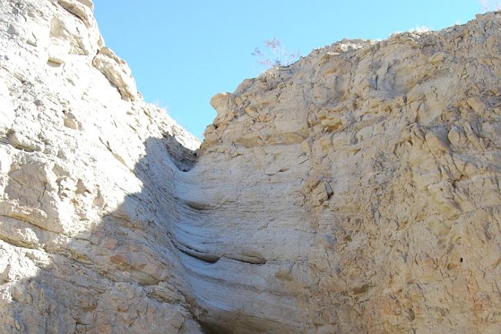 DSC 1663