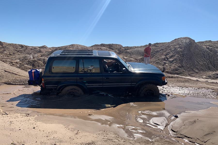 Anza Borrego - March