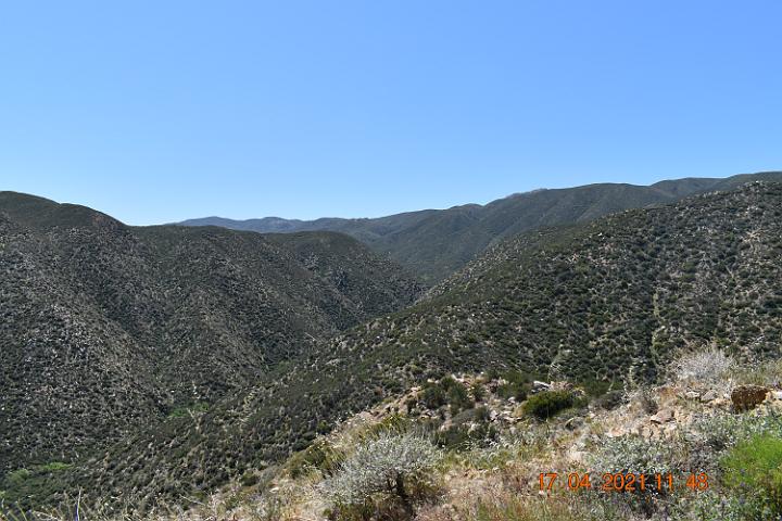DSC 0033
