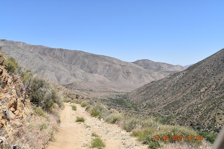 DSC 0050