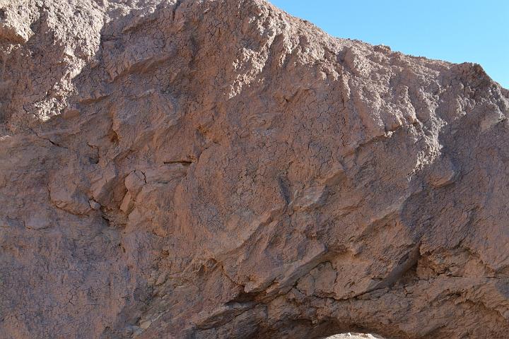 DSC 4458