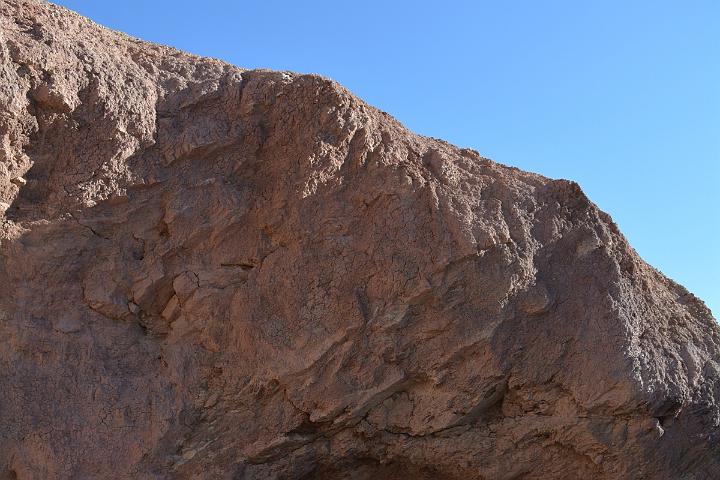 DSC 4467