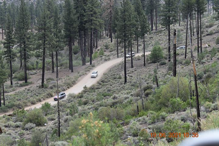 DSC 0009