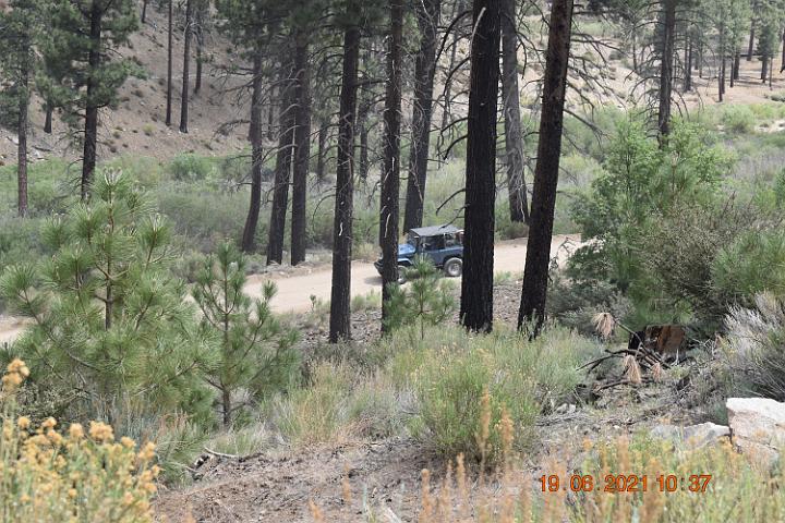 DSC 0012