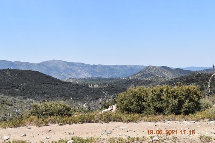 DSC 0020
