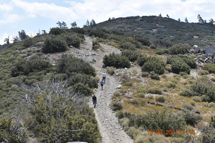 DSC 0021