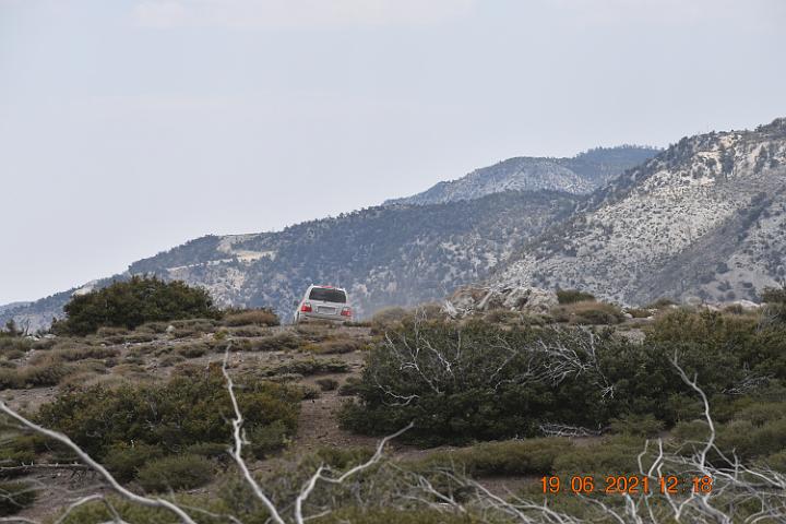 DSC 0039