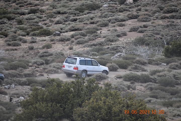 DSC 0051