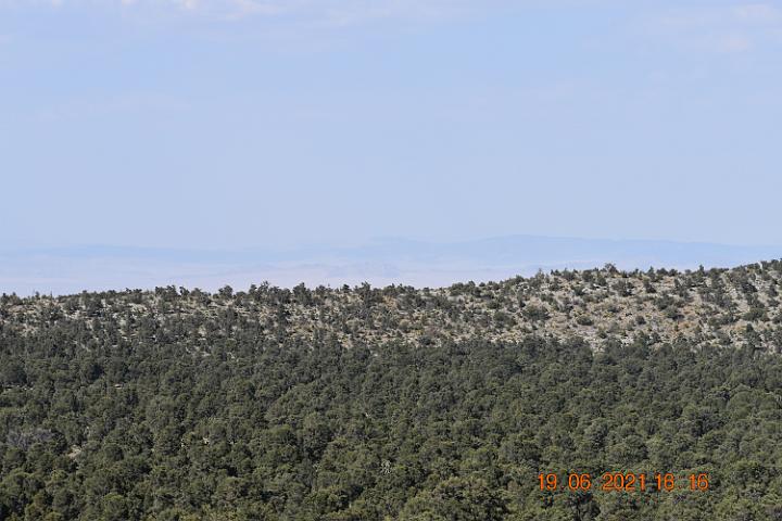 DSC 0110