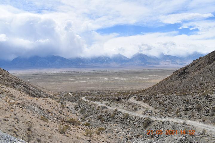 DSC 0007