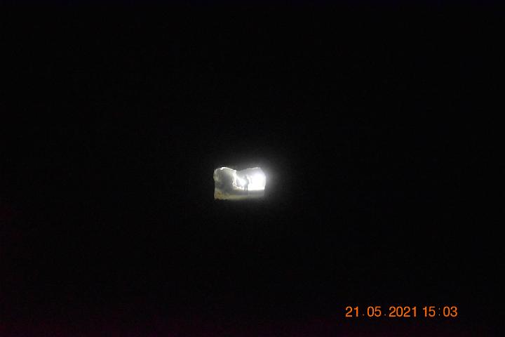 DSC 0015