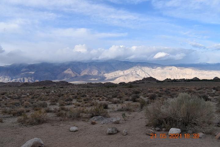 DSC 0043