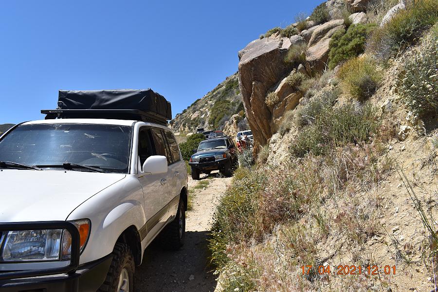 Anza Borrego - April