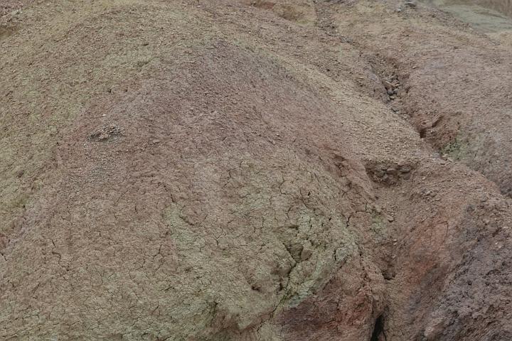 DSC 8403