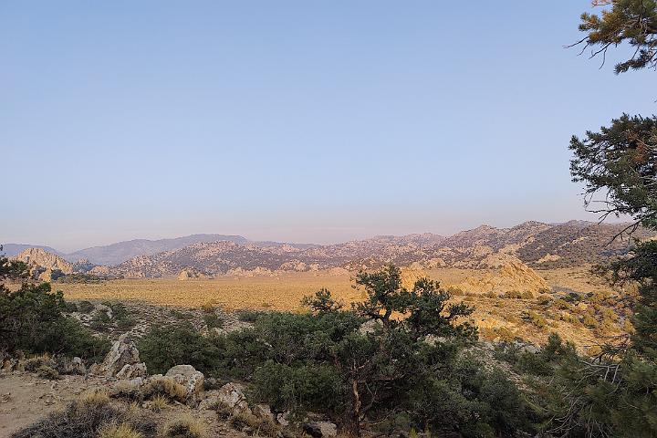 IMG20220723192258