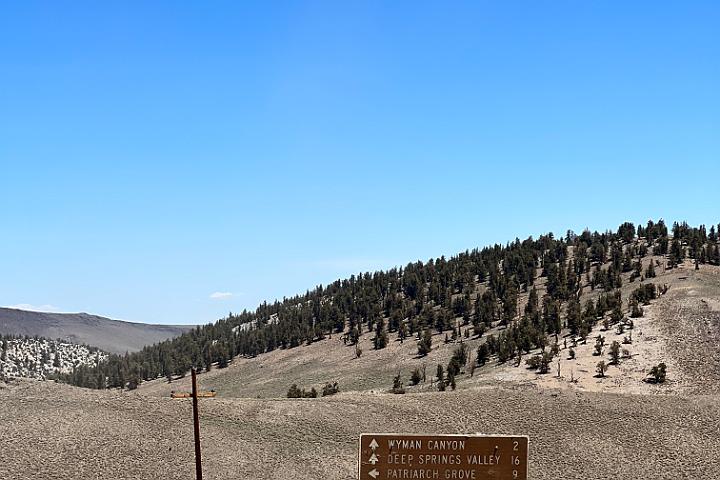 IMG 0971
