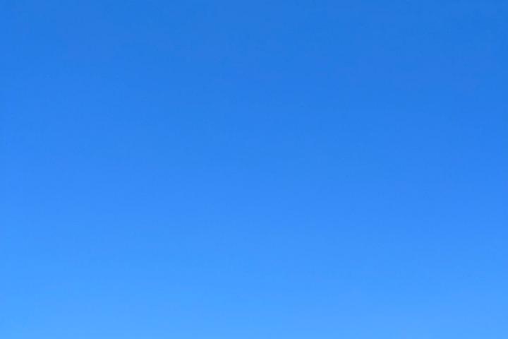 IMG 0980
