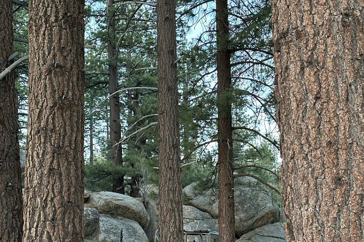 IMG 0391