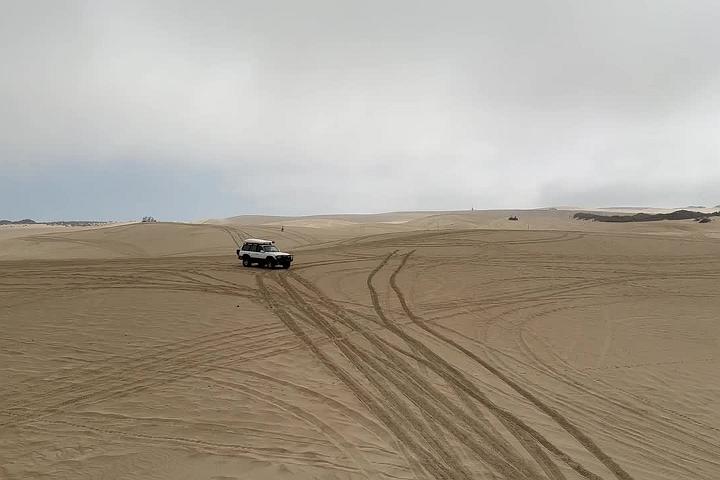 IMG 3687