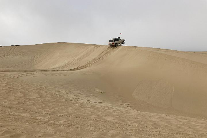 IMG 7831
