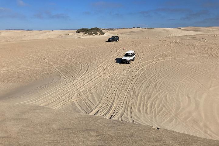 IMG 7965