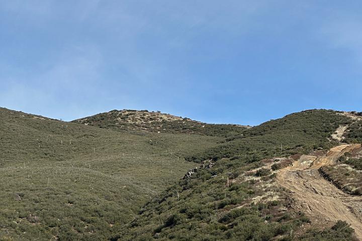 IMG 1153
