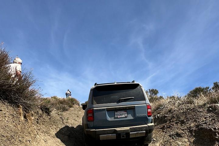 IMG 1219