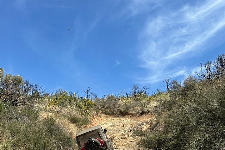IMG 1251