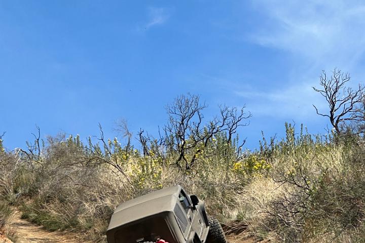 IMG 1256