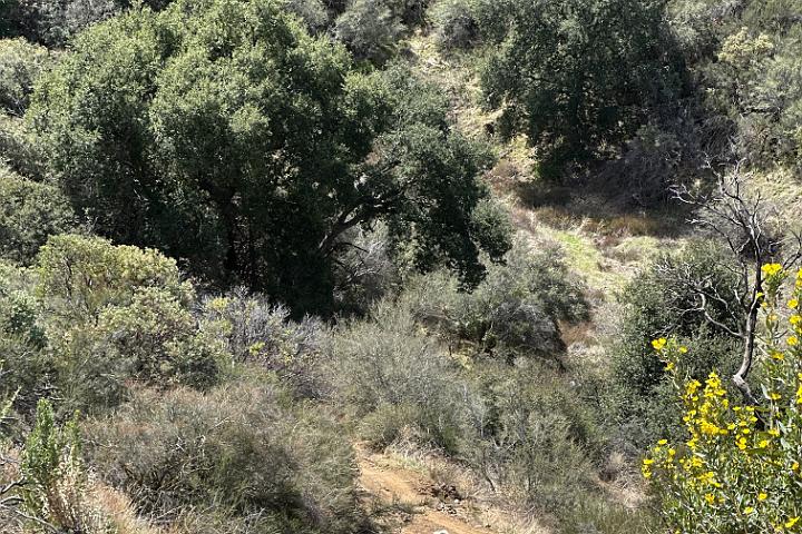 IMG 1268