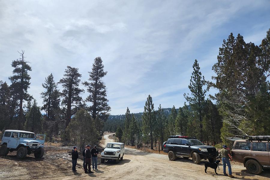 Big Bear - February