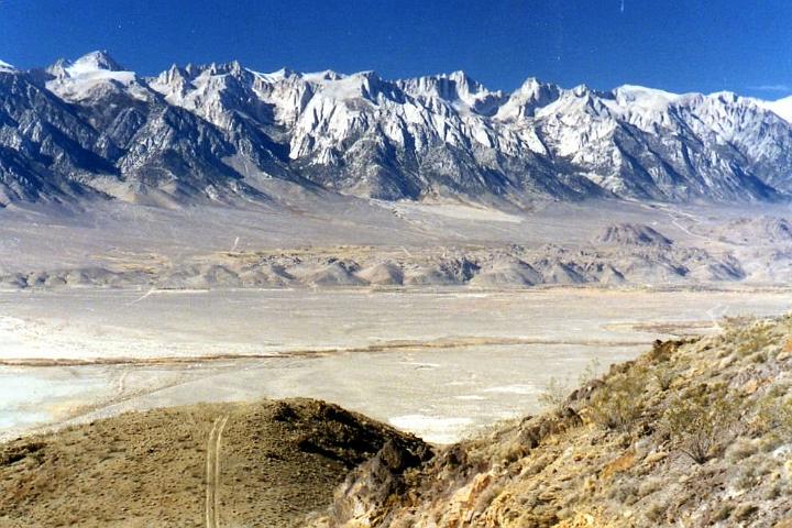 LonePine007
