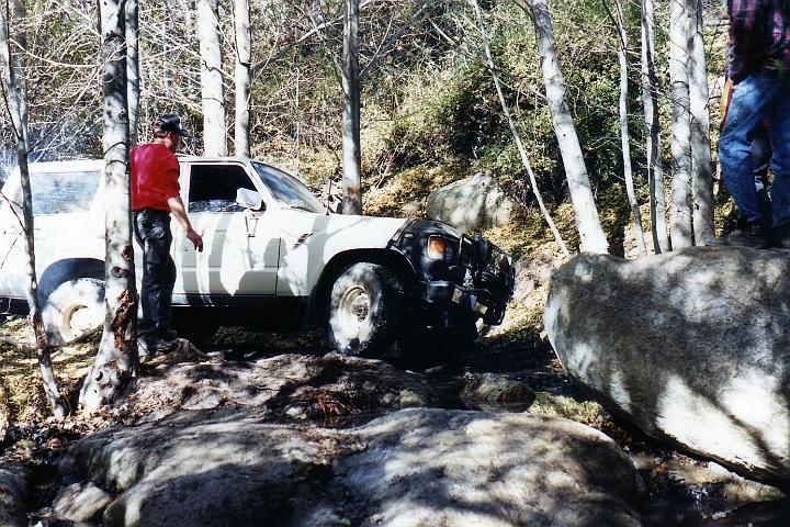 LosCoyotes020